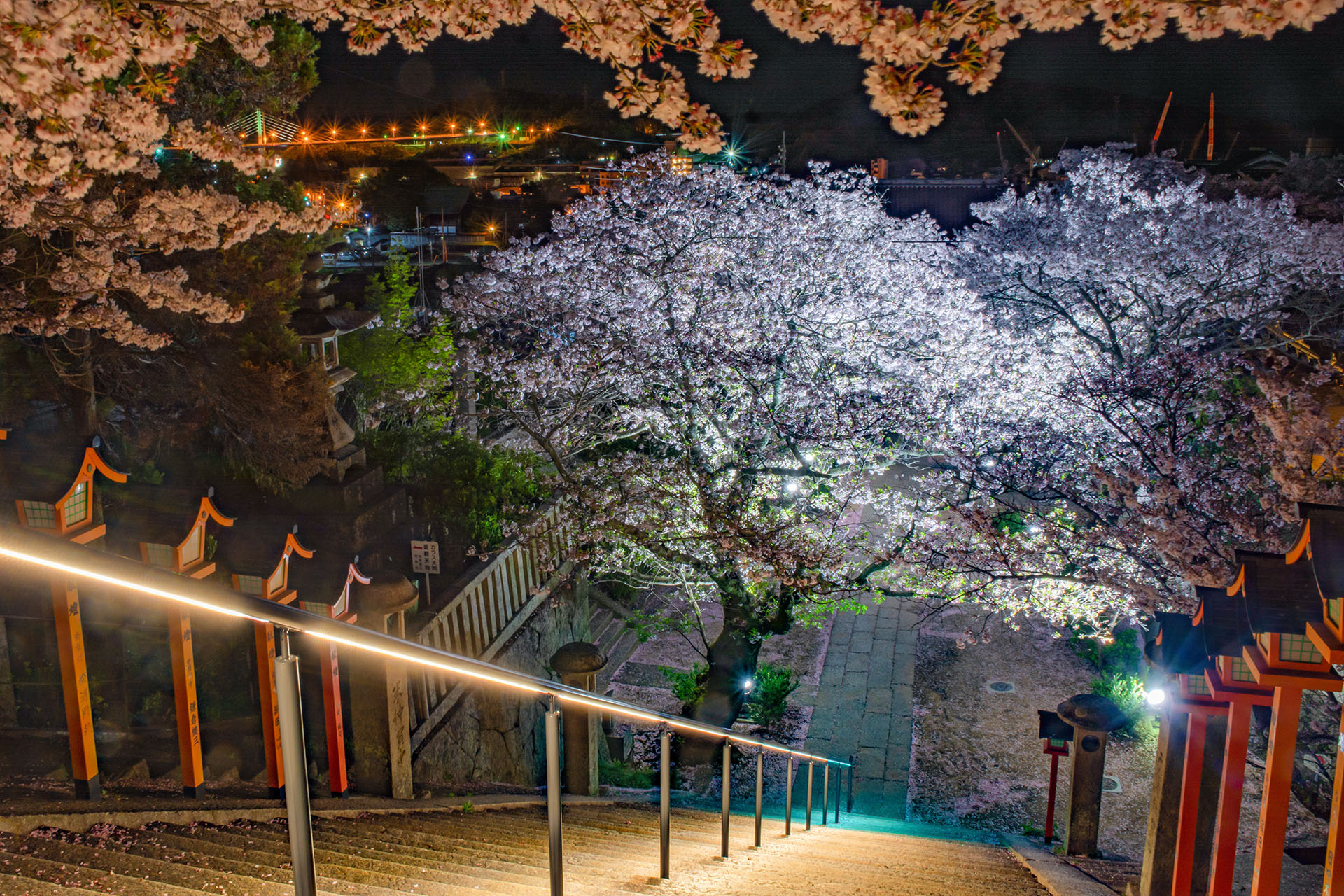 ライトアップが美しい。尾道を見守る古刹 西國寺