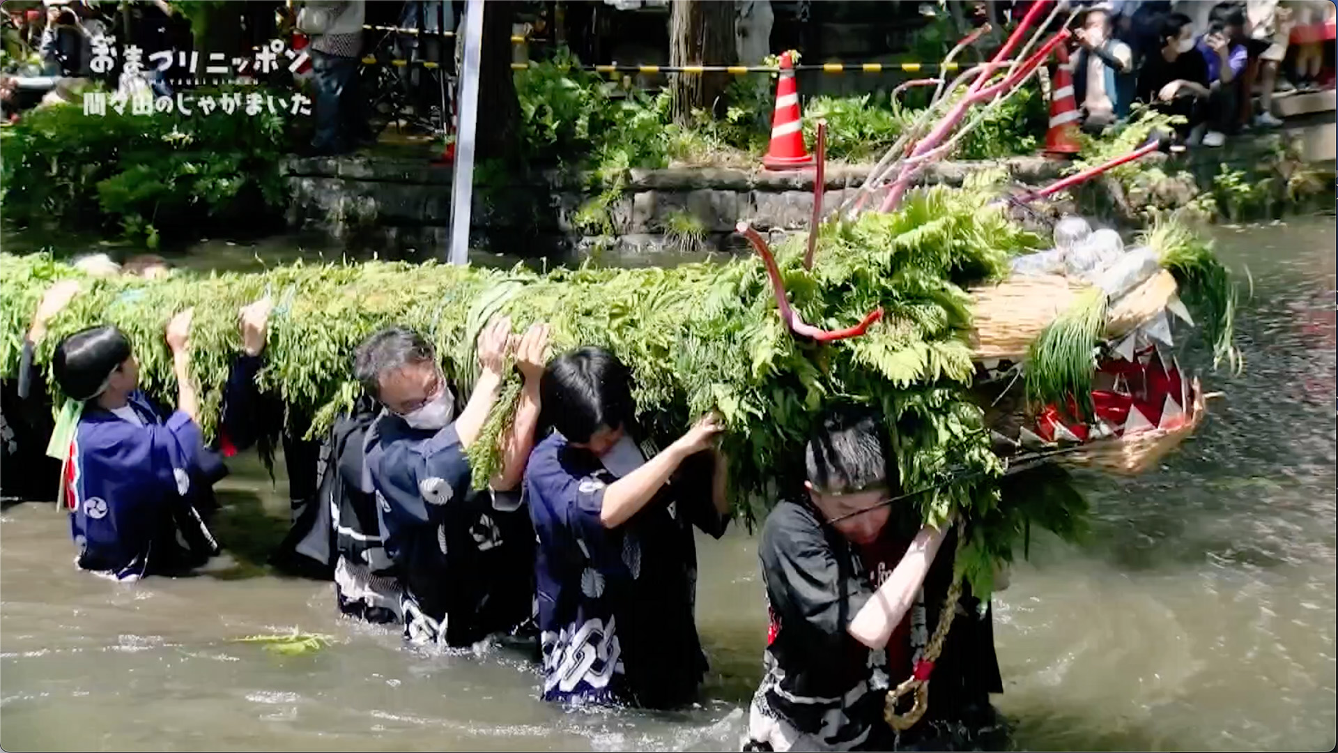 とどろく掛け声 街に大蛇が降臨！ 間々田のじゃがまいた